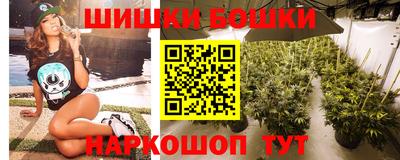 сатива Кандалакша
