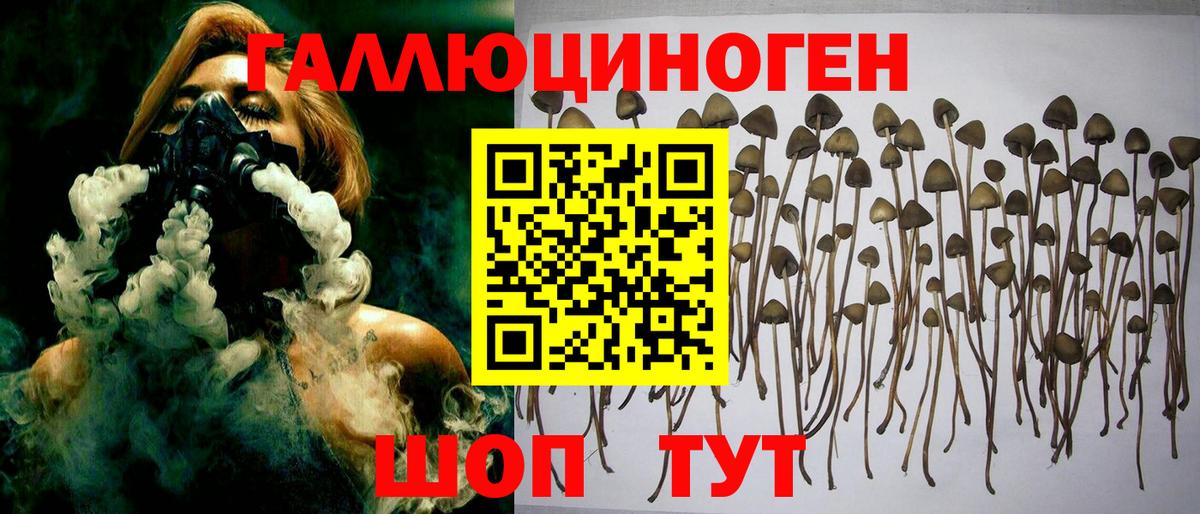 Галлюциногенные грибы мухоморы Приморско-Ахтарск